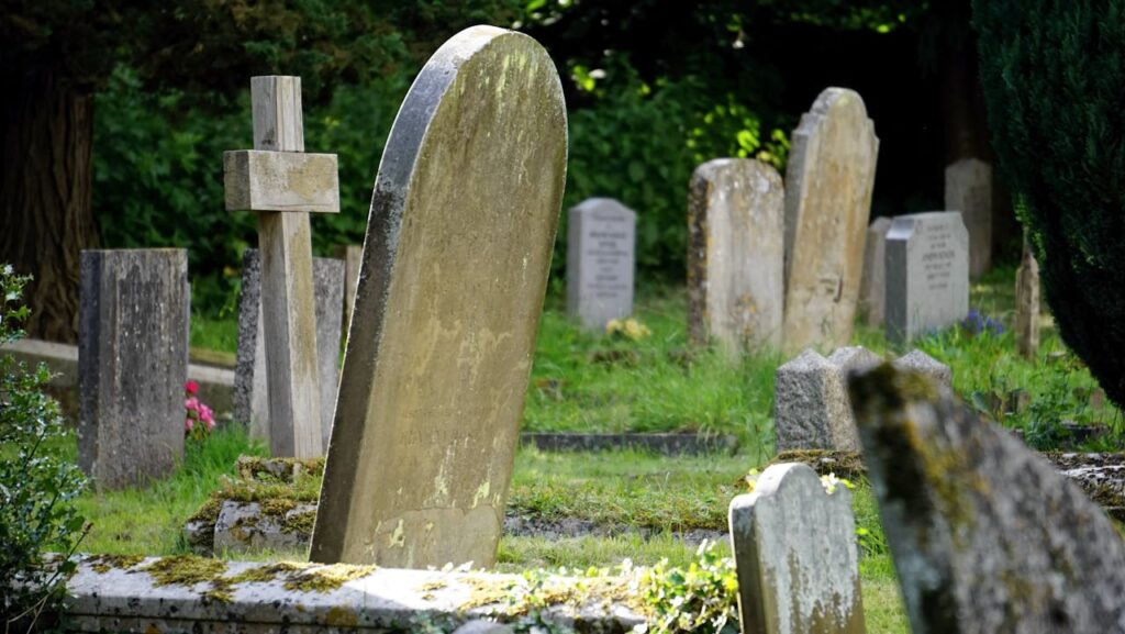 Bestattung Friedhof natürlich Nachhaltige Bestattung – Umweltbewusst Abschied nehmen